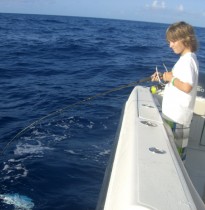 2011-2012 photo #3
