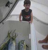 2011-2012 photo #5