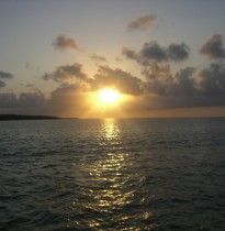 2011-2012 photo #8